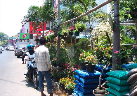 Kayun Flower Market